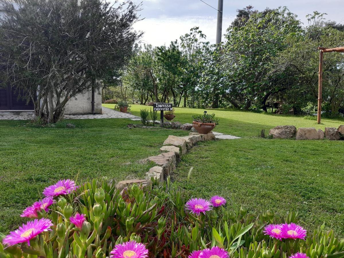 Agriturismo Colleverde Capalbio Luaran gambar