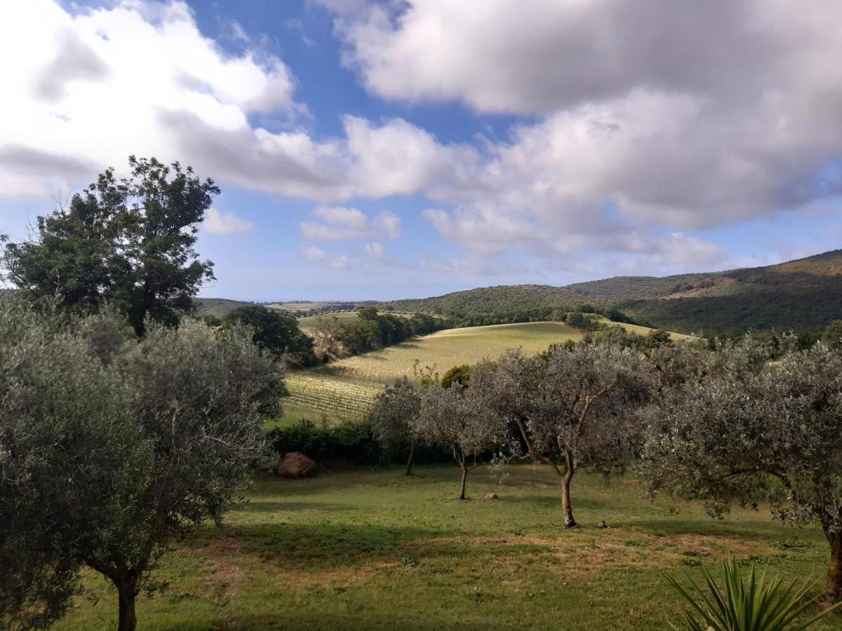 Agriturismo Colleverde Capalbio Luaran gambar